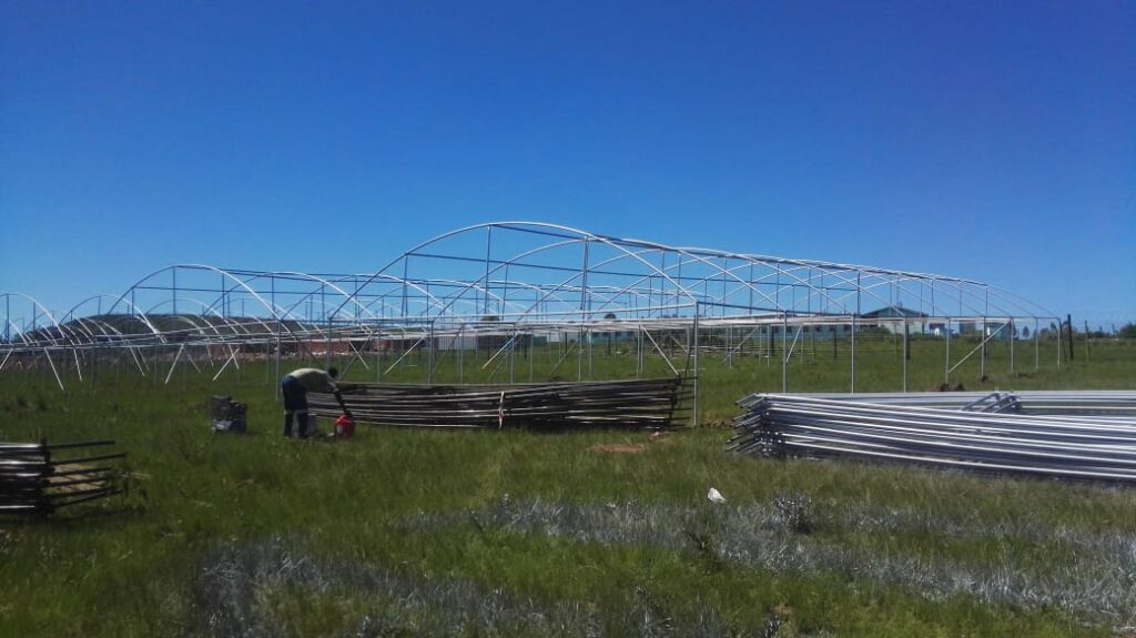 greenhouse installations