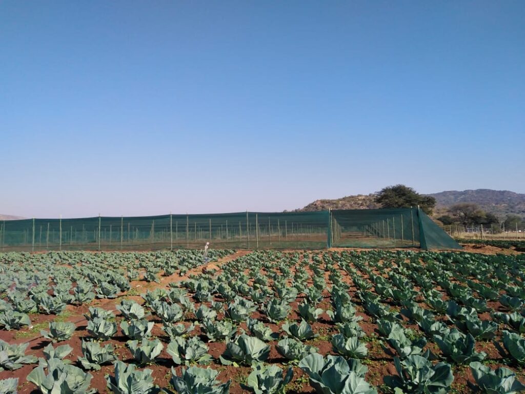 greenhouse installations