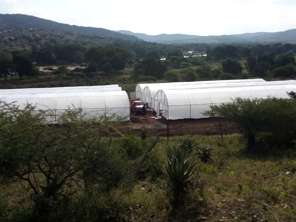 greenhouse installations