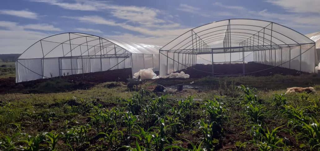 greenhouse installations