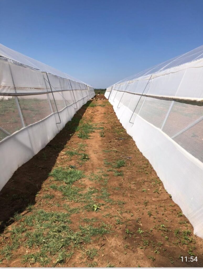 green house installations