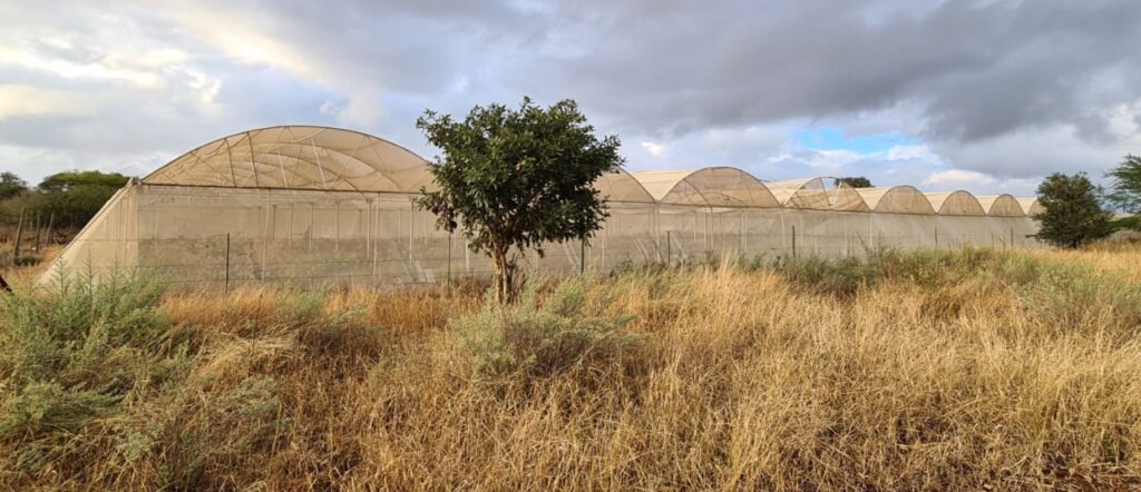 greenhouse installations